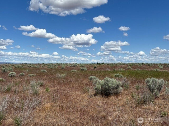 3722  Road 7.8  NE  Moses Lake WA 98837 photo