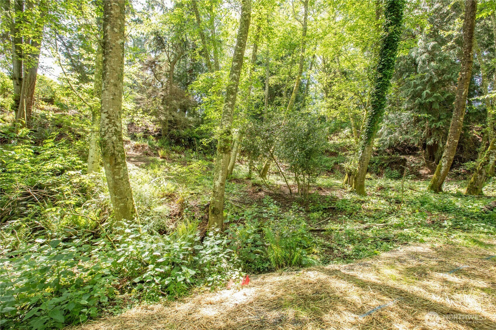 Property Photo: 0 Xxx George Drive WA 98236