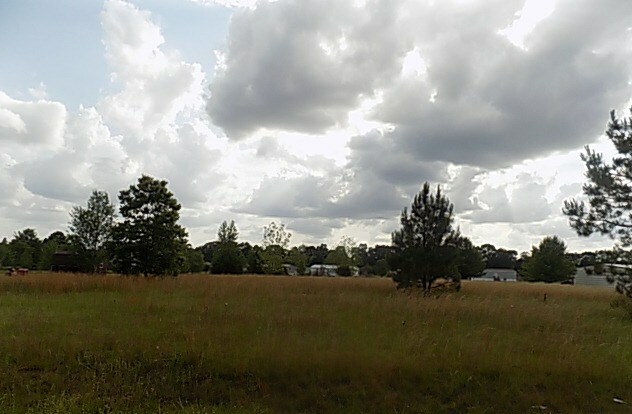 Property Photo: 0 Hanging Moss Trail AL 36320