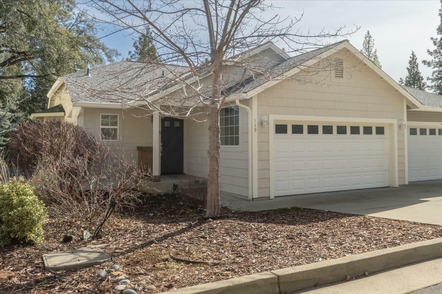Property Photo:  119 Fairway Village Court  CA 95247 