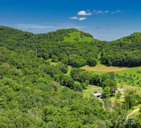 Property Photo: 348 Copperhead Cove NC 28779
