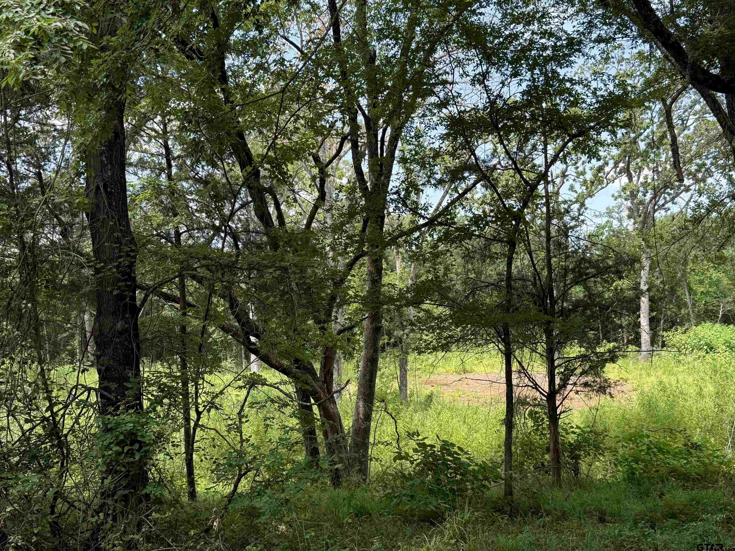 Property Photo: 000 Vz Cr 4608 TX 75754
