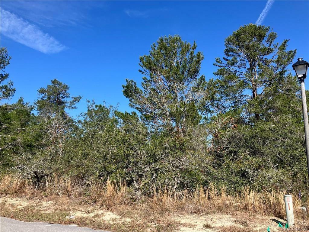 Property Photo: 17 Rudbeckia Court FL 34446