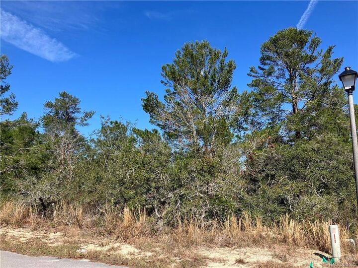 Property Photo:  17 Rudbeckia Court  FL 34446 