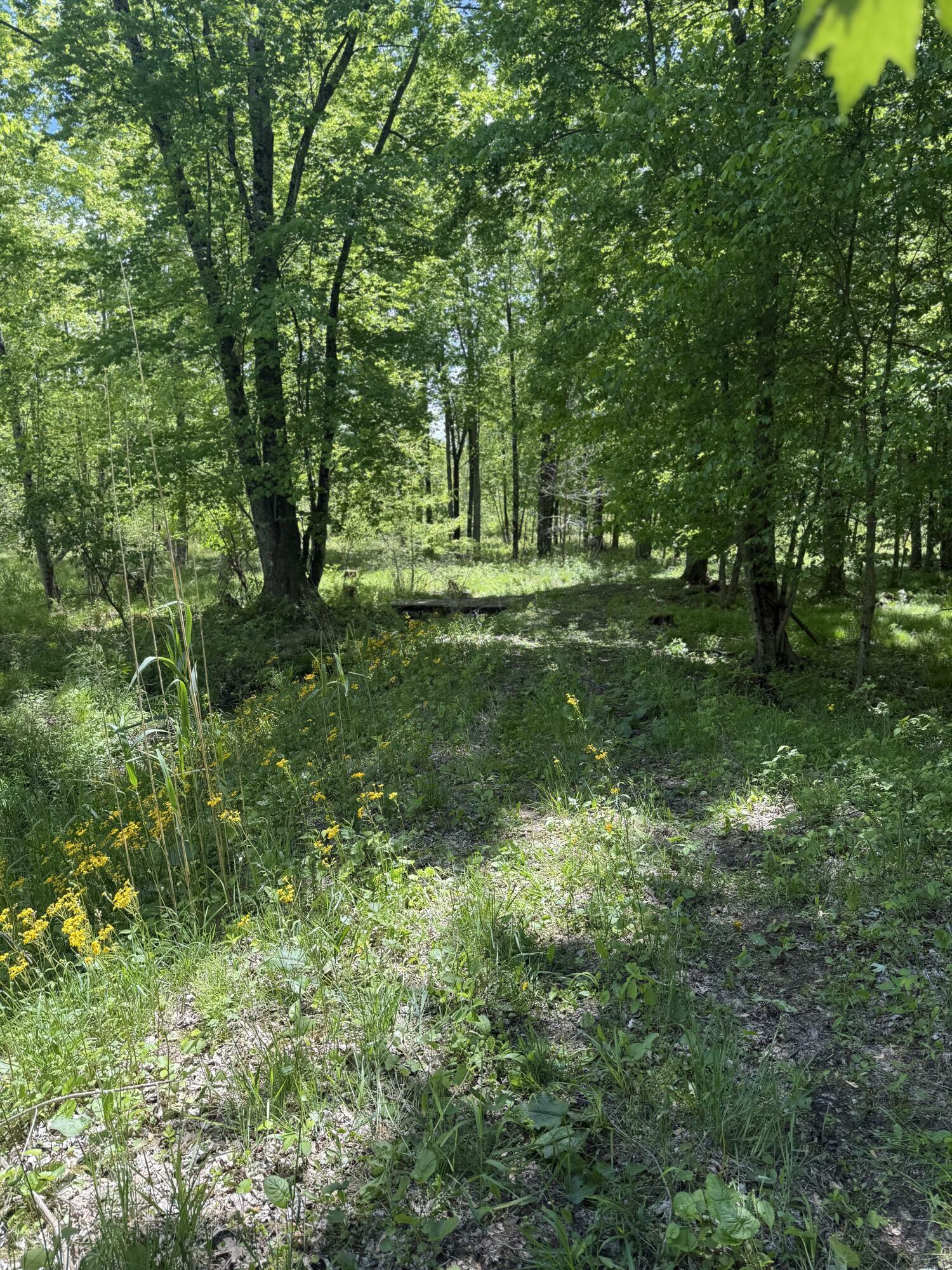 Property Photo: 6095 E M 20 MI 49421