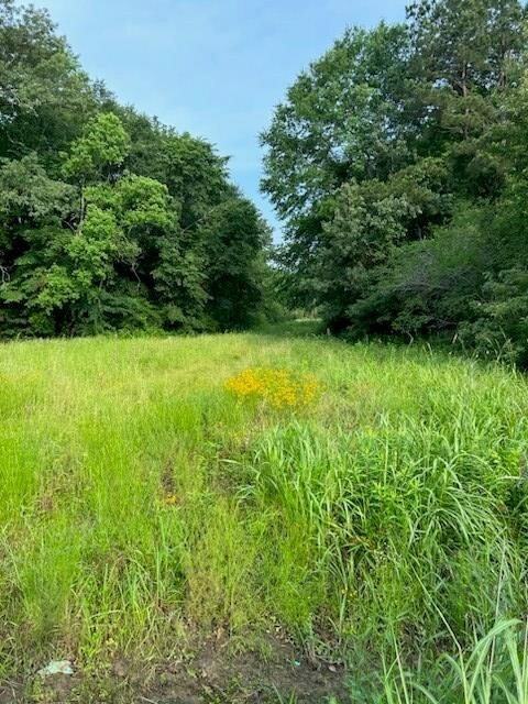 Property Photo: 1508 Southwood Dr TX 75901