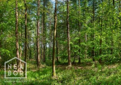Property Photo: 2 County Road 714 AR 72405