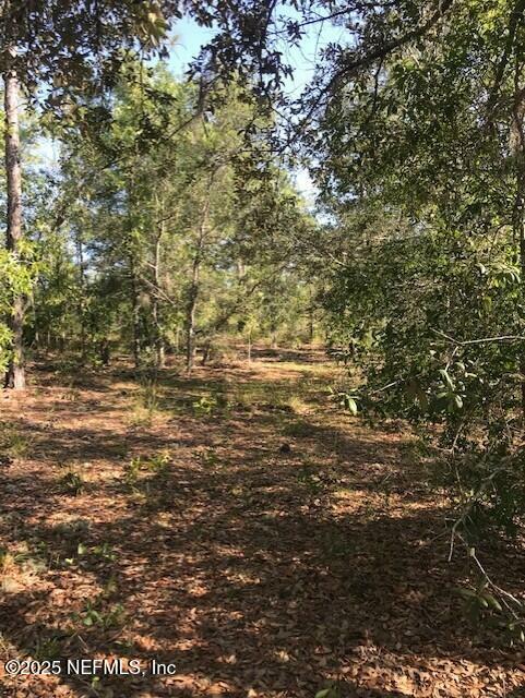 Property Photo: 0 Twin Lakes Boulevard FL 32148