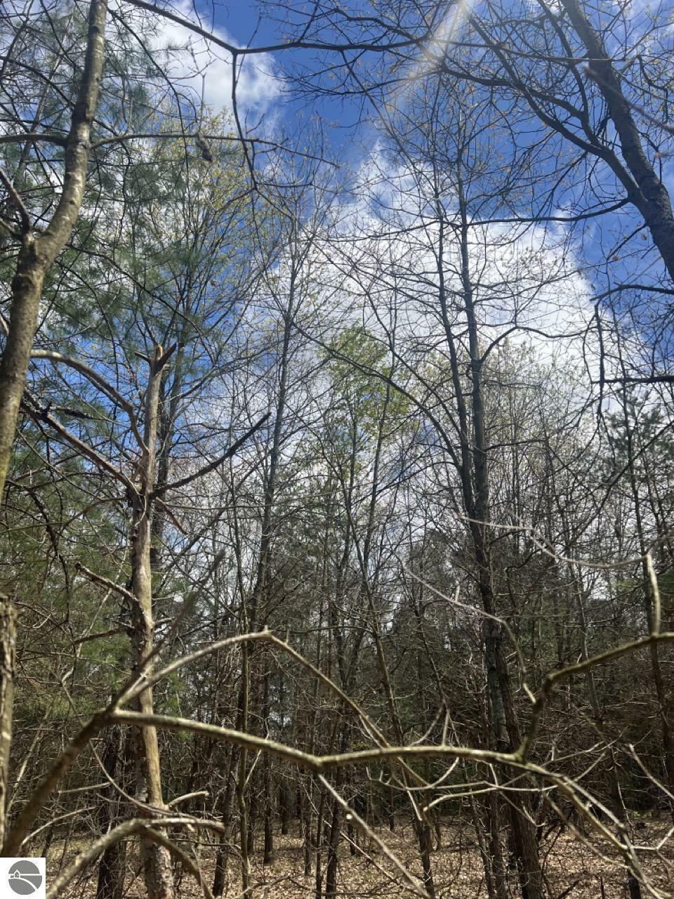 Property Photo: 00 Horton 14 Mile Road MI 49668