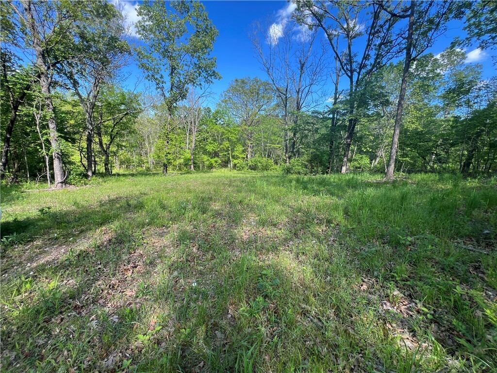Property Photo: Temperance Valley Road MO 64843
