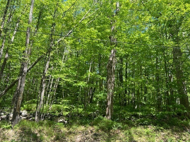 Property Photo: Lot B New Templeton Rd MA 01452