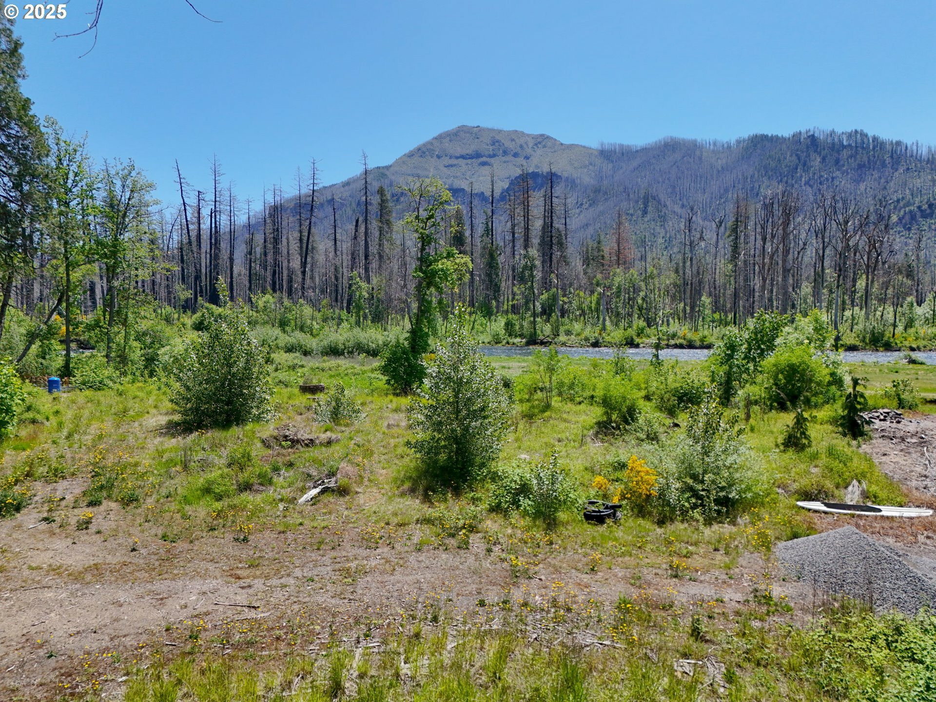 Property Photo: 52958 McKenzie Hwy OR 97413
