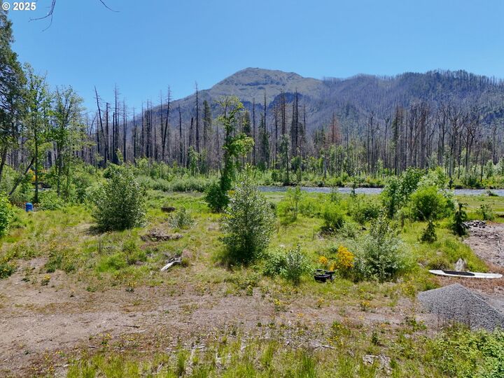 Property Photo:  52958 McKenzie Hwy  OR 97413