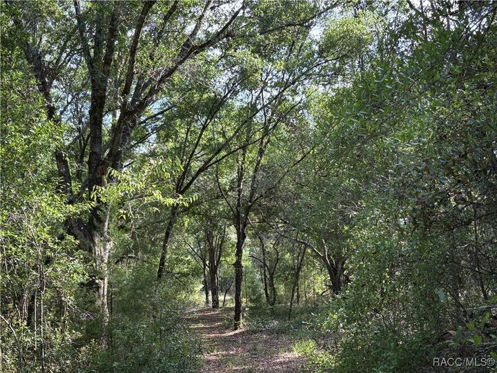 Property Photo:  2813 Van Buren Street W  FL 34453 