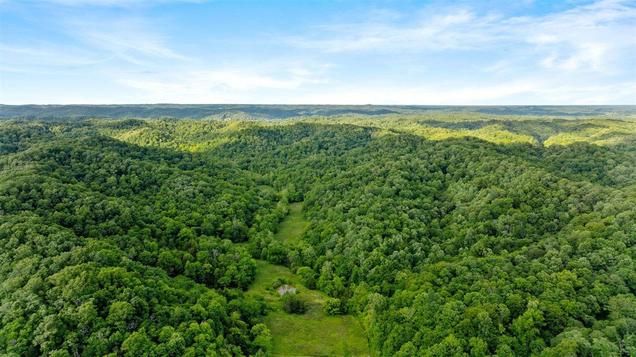 Property Photo:  0 Black Branch Road  KY 42717 