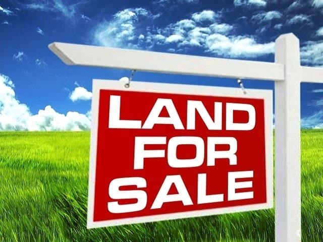 Property Photo: 6295 Hwy 105 TX 77708