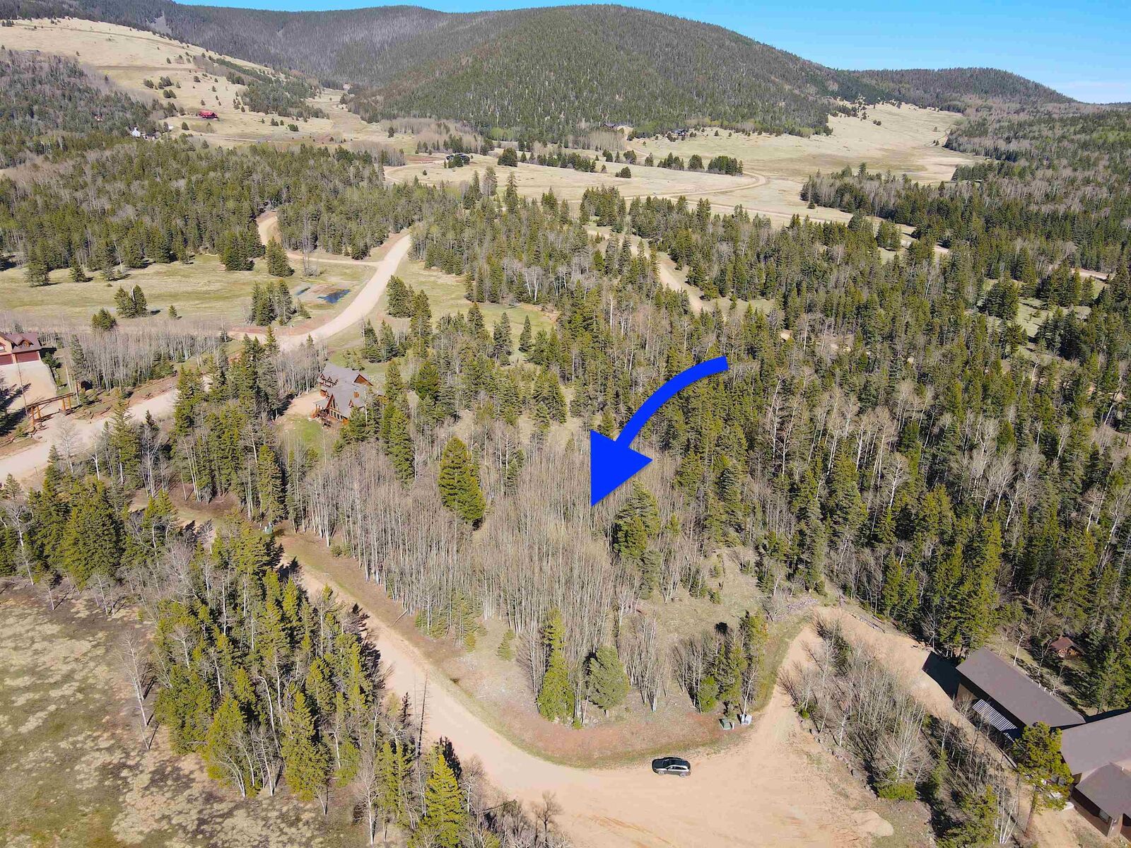 Property Photo: Lot 103 Quail Ridge NM 87710
