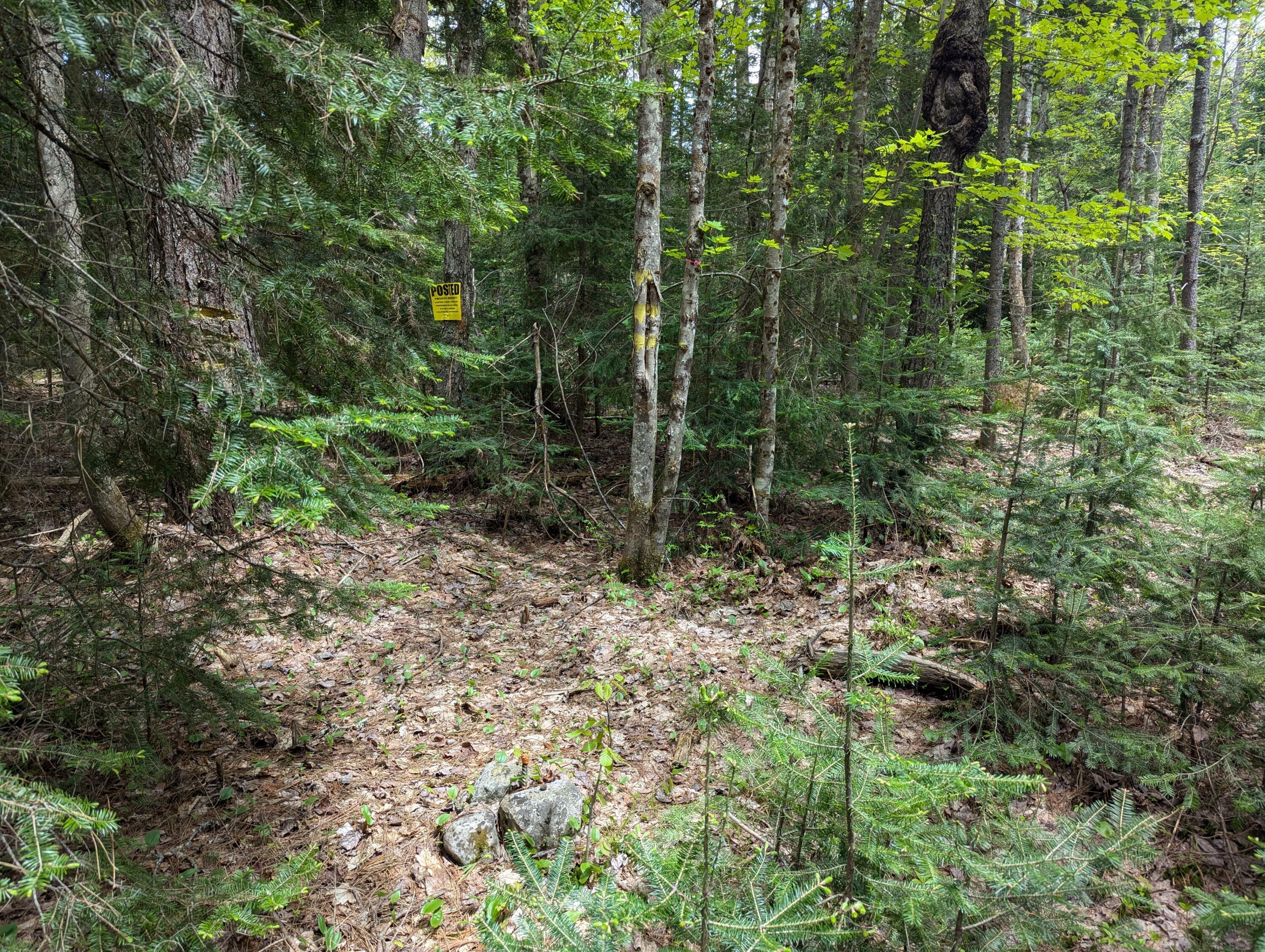 Property Photo: Lot #5 County Route 60 NY 12976