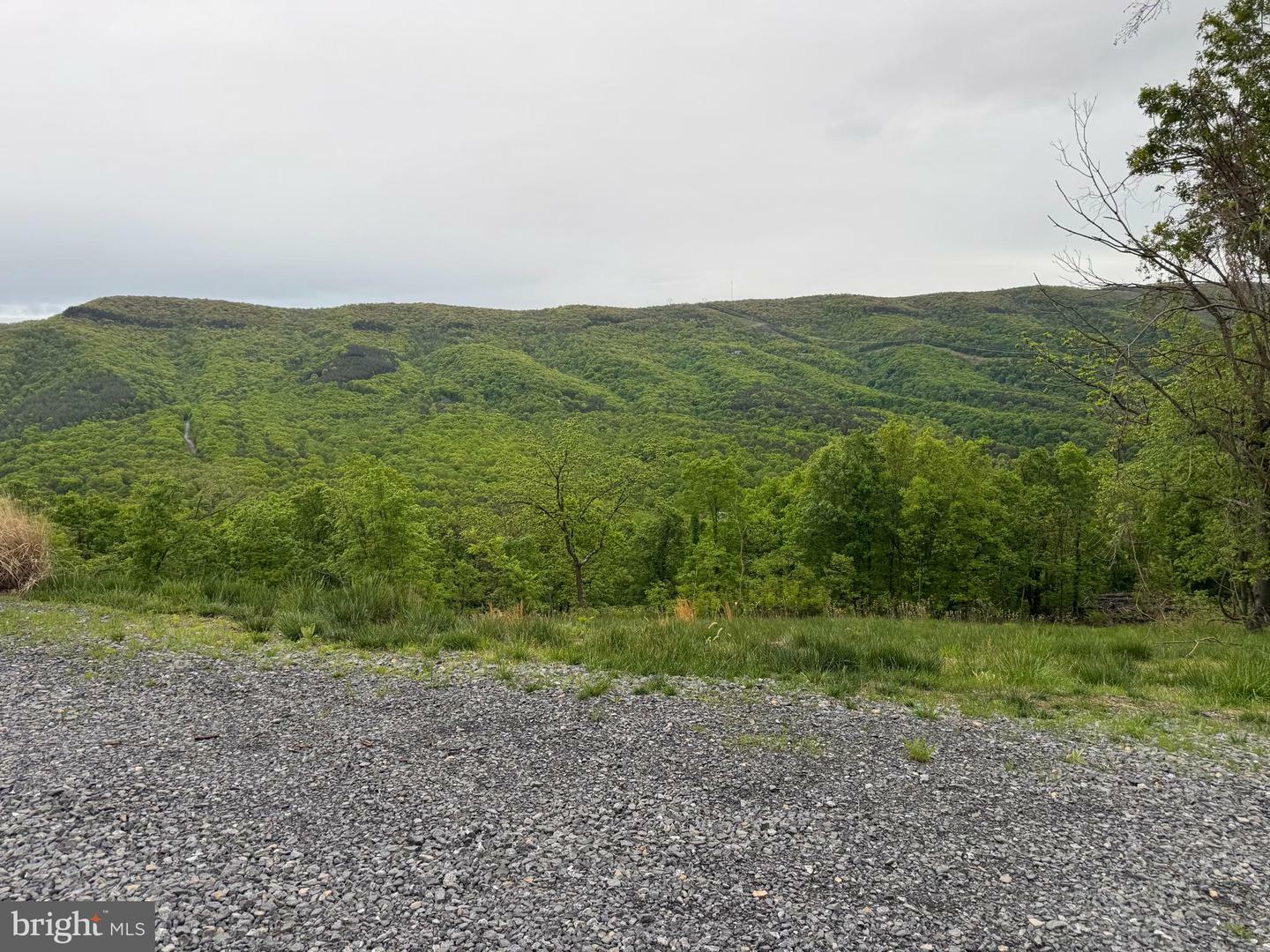 Property Photo: Lot 213 Hampshire Ridge WV 26757