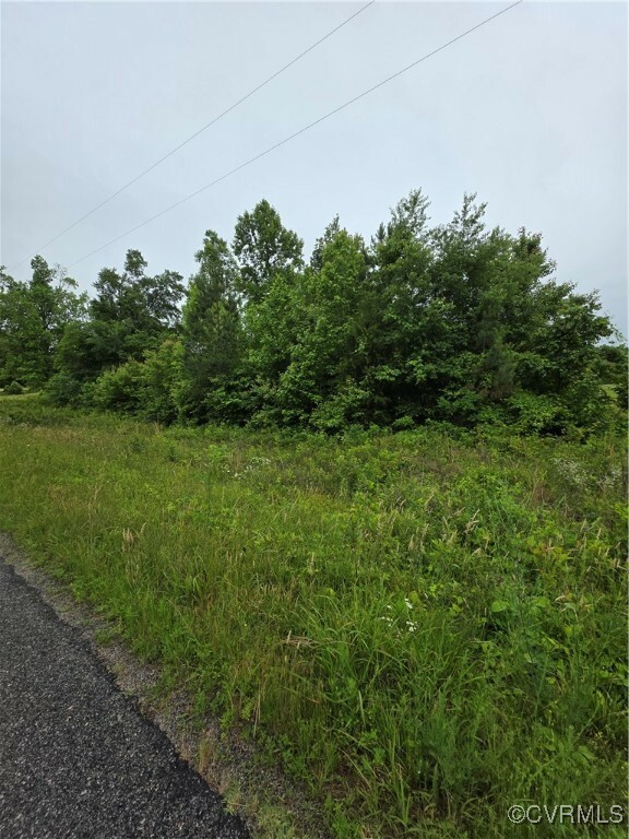 Property Photo: 0 Tbd Plank Road VA 23944