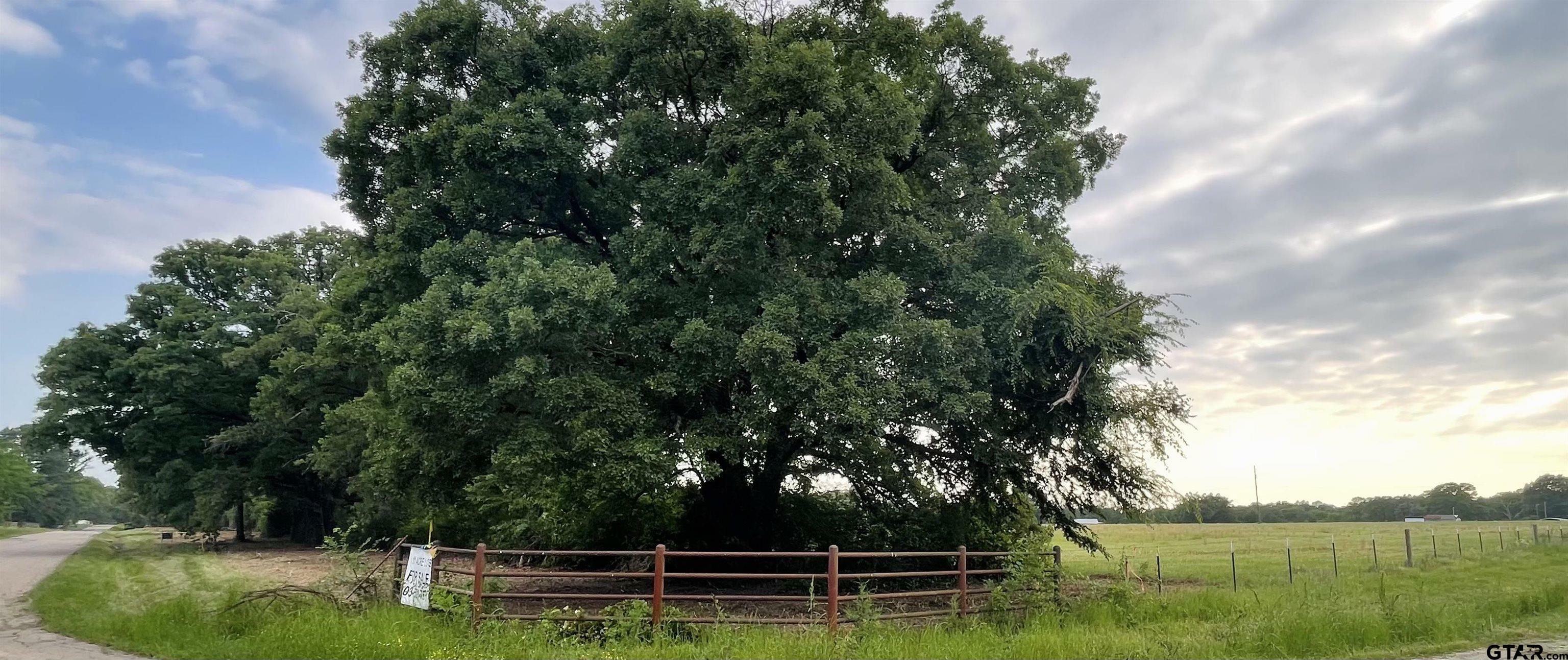 Property Photo: Lot 4 , Cr 1560 TX 75410
