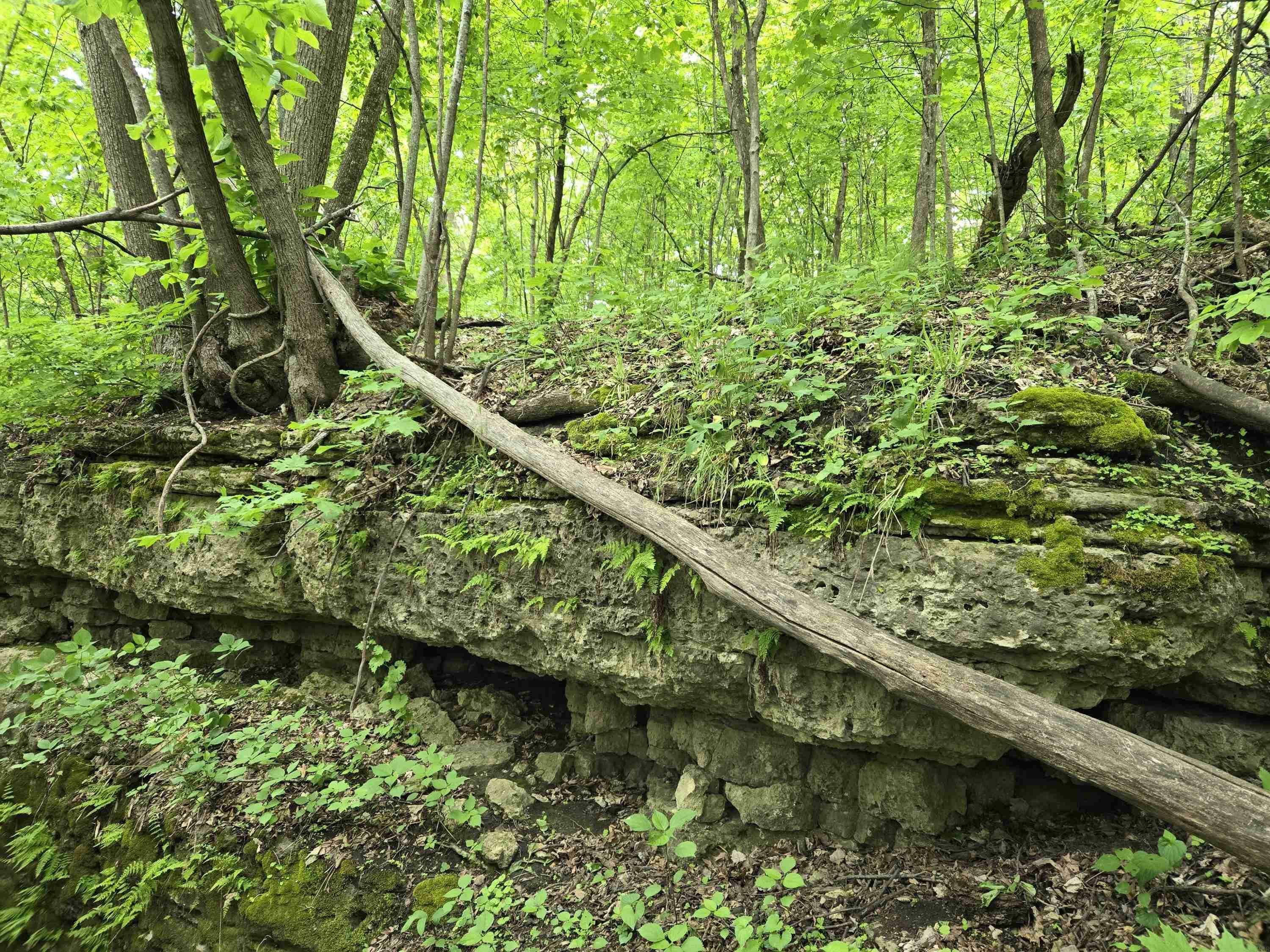 Property Photo: Partridge Road IA 52053