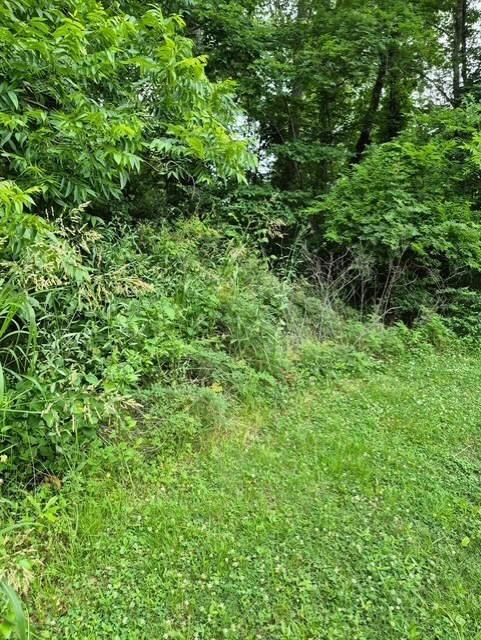 Property Photo: 505 (2) S Home St TX 75939