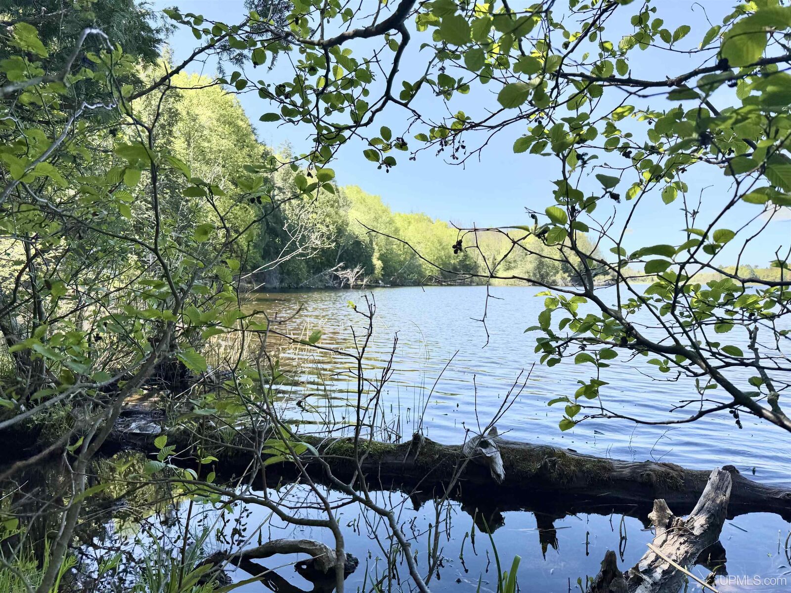 Property Photo:  Lot 8 Near Pomeroy Lake Road  MI 49947 