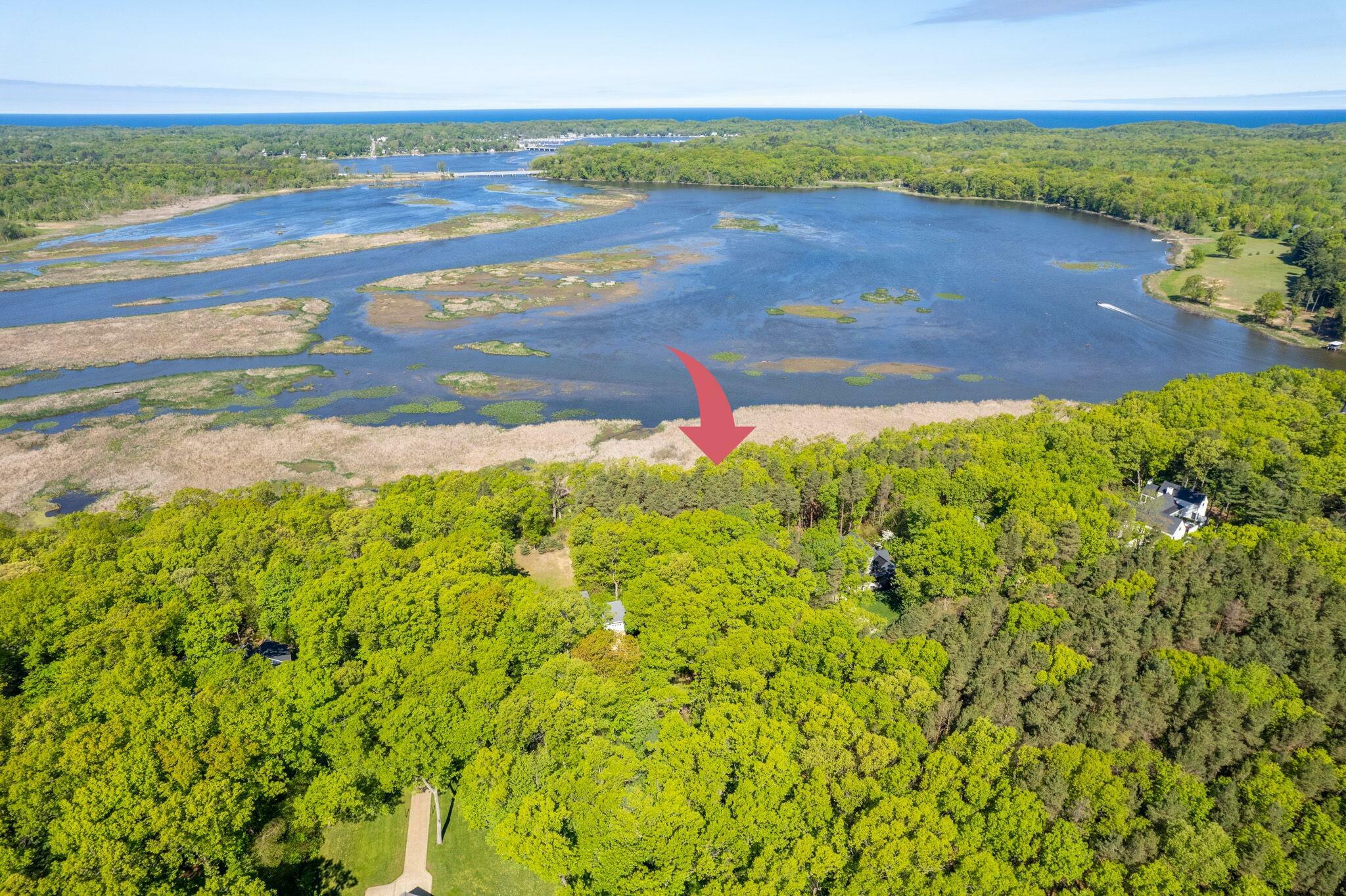 3126 Red Oak Drive  Saugatuck MI 49453 photo