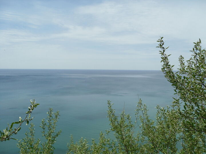 Property Photo:  S Lakeshore Drive  MI 49431 