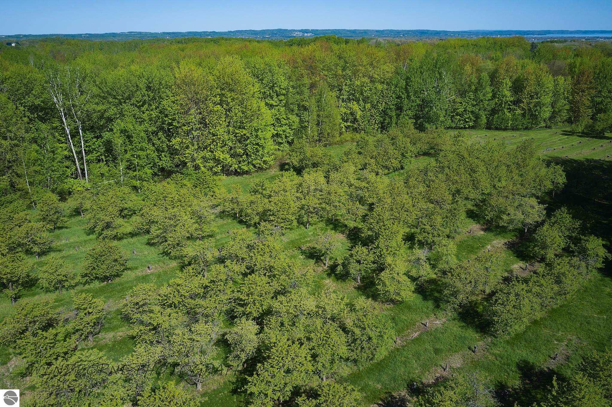 Property Photo:  Parcel G Three Mile Road  MI 49696 