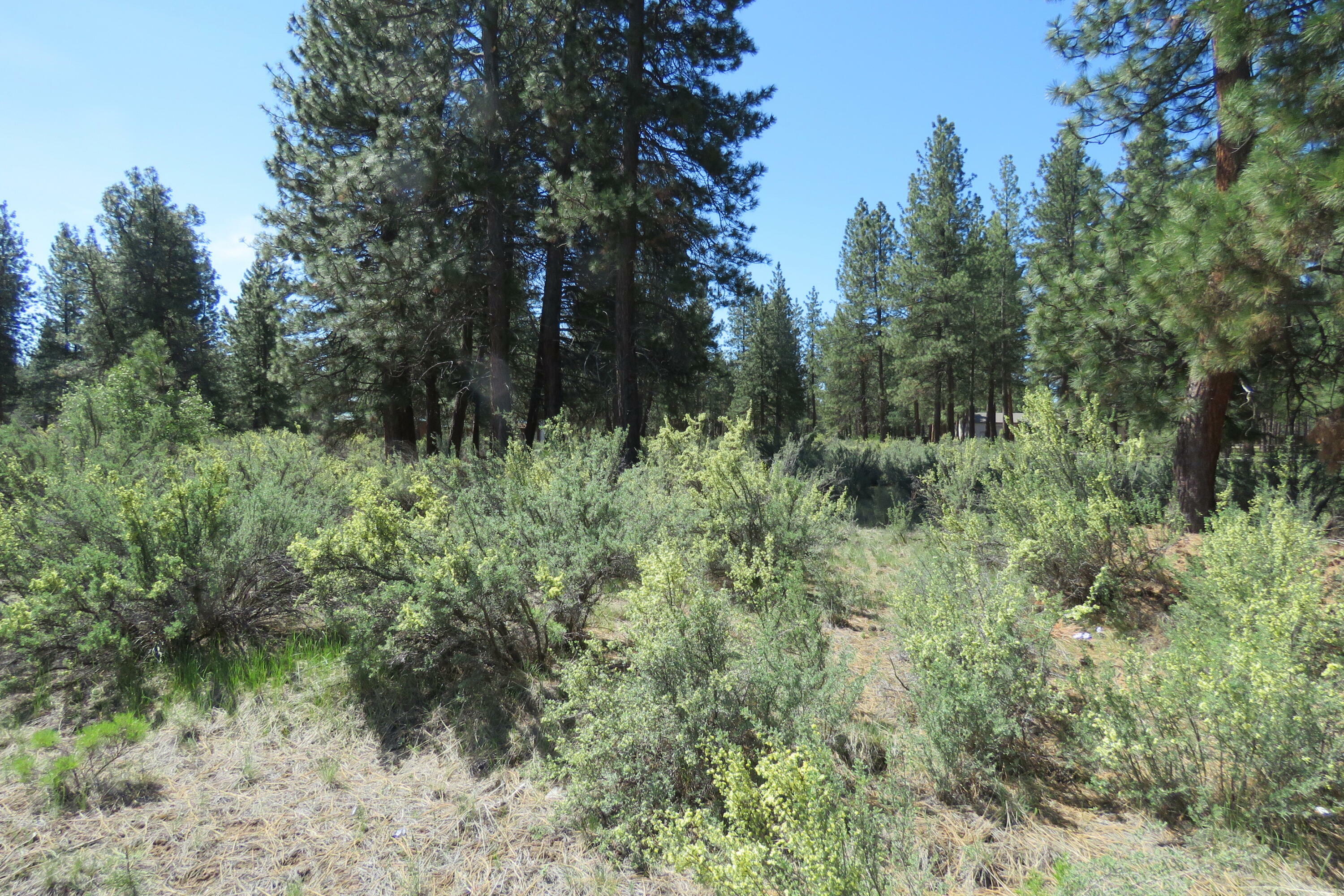 Property Photo: Castle Dr Lot 10 OR 97624