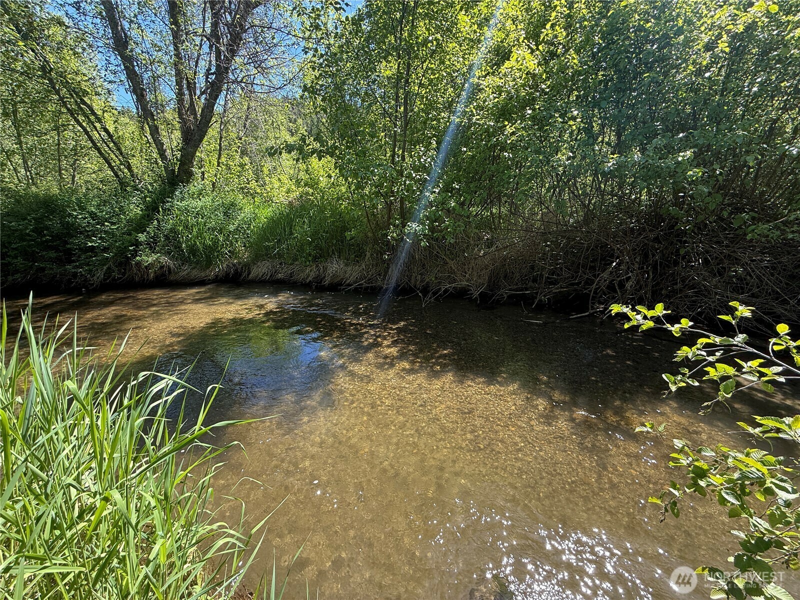Property Photo: 333 Toroda Creek Road WA 99118