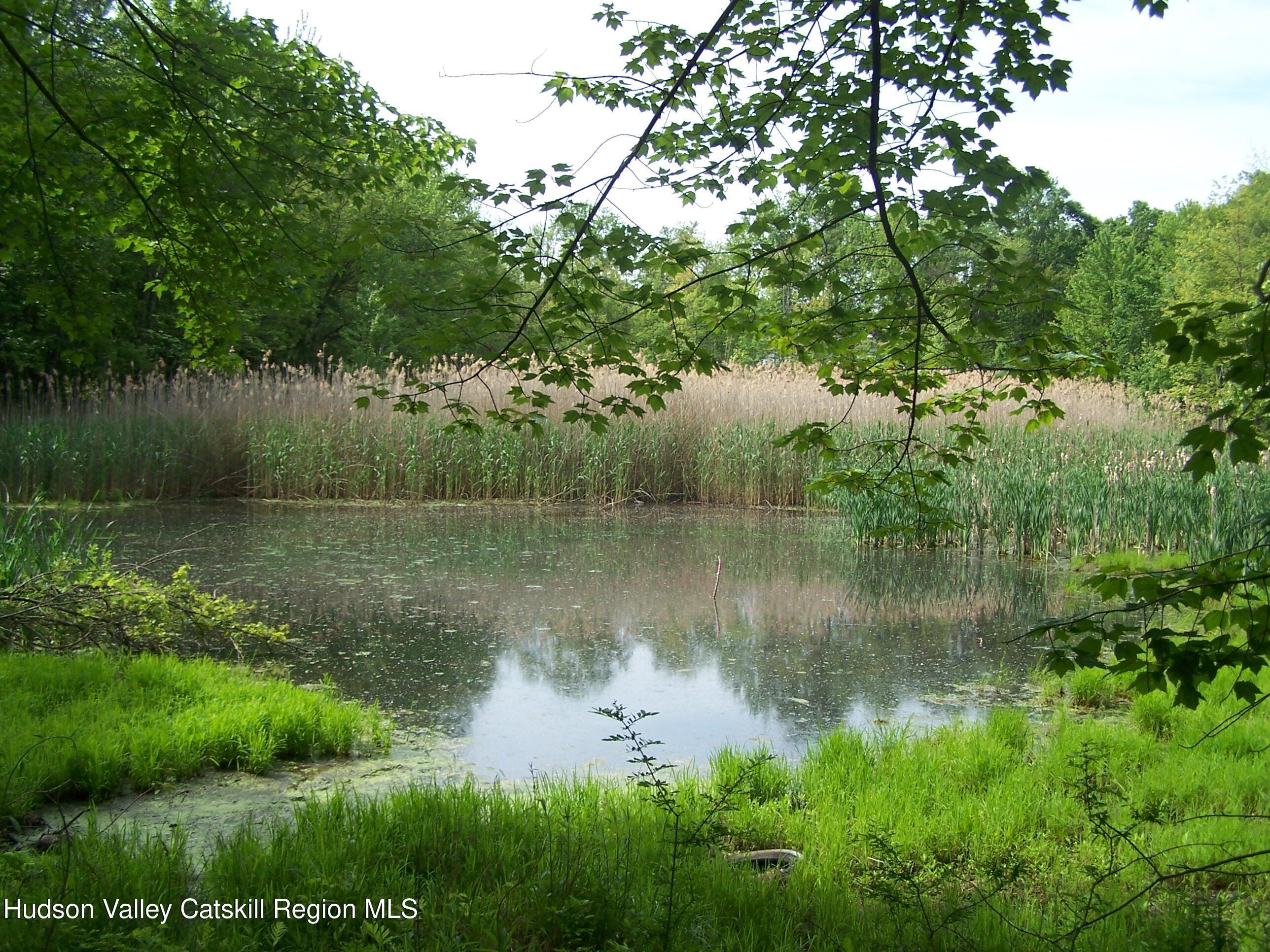 Property Photo: 85 Beth NY 12401