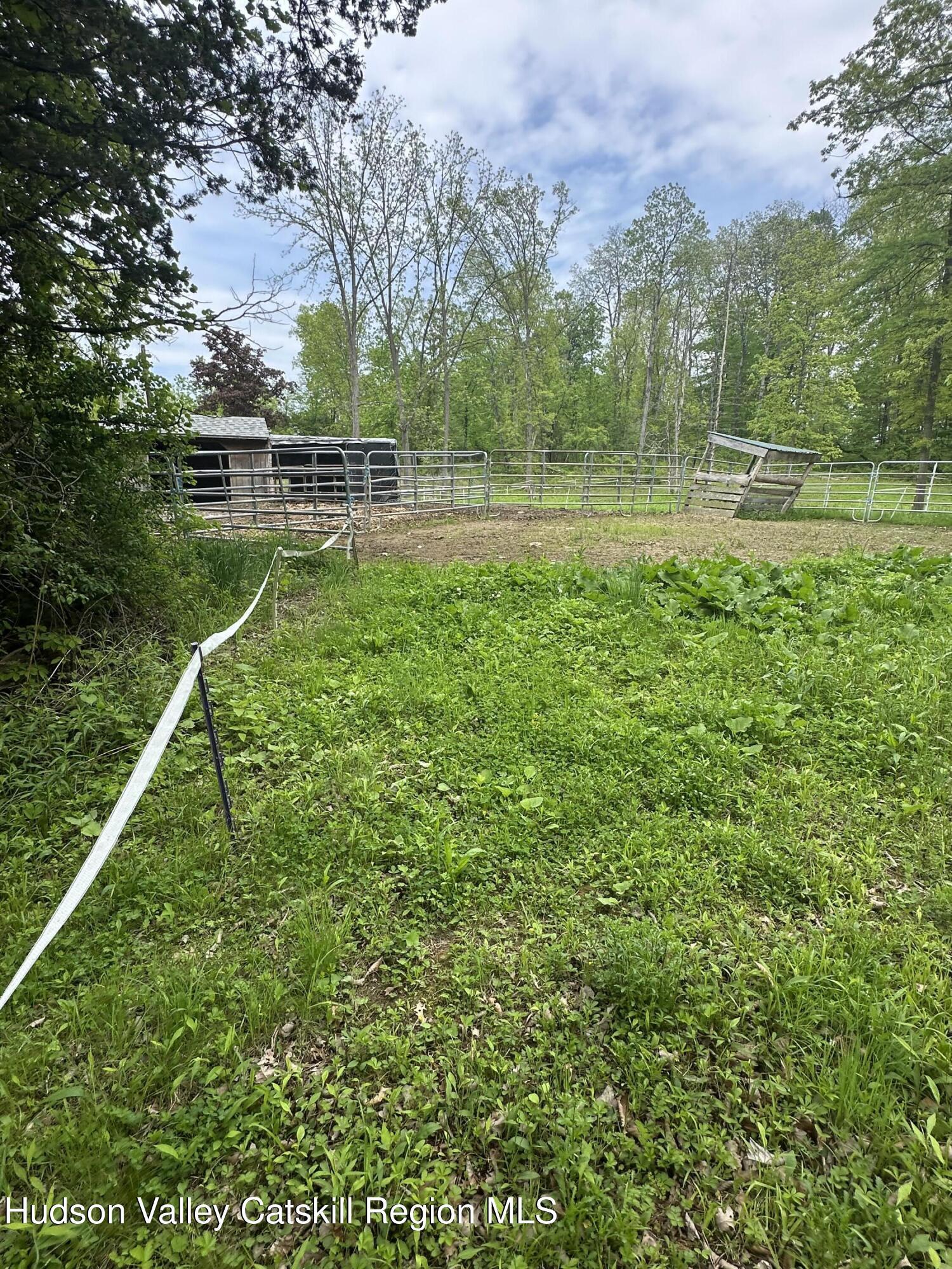 Property Photo: 165 W Camp NY 12477