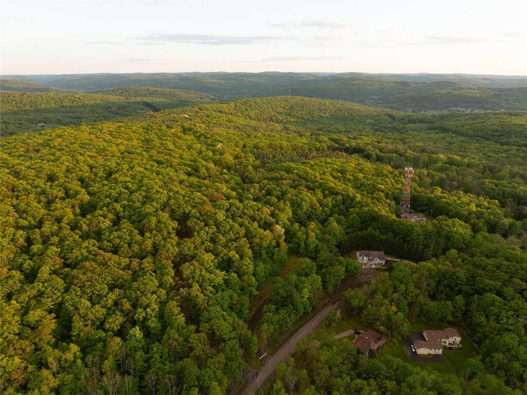 Property Photo: 1309 Holly Hill Road NY 13850