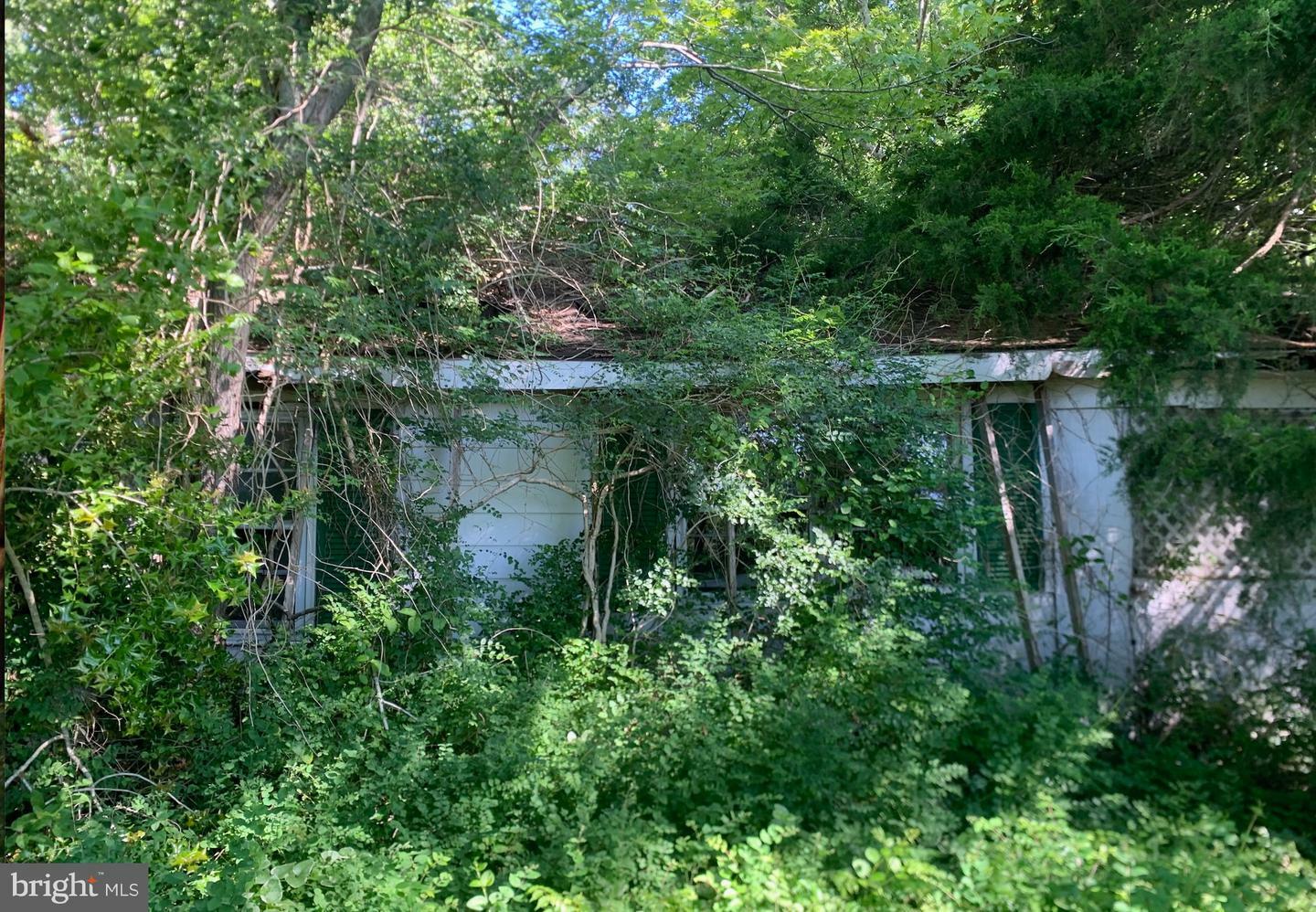 Property Photo: 2040 Dailsville Road MD 21613