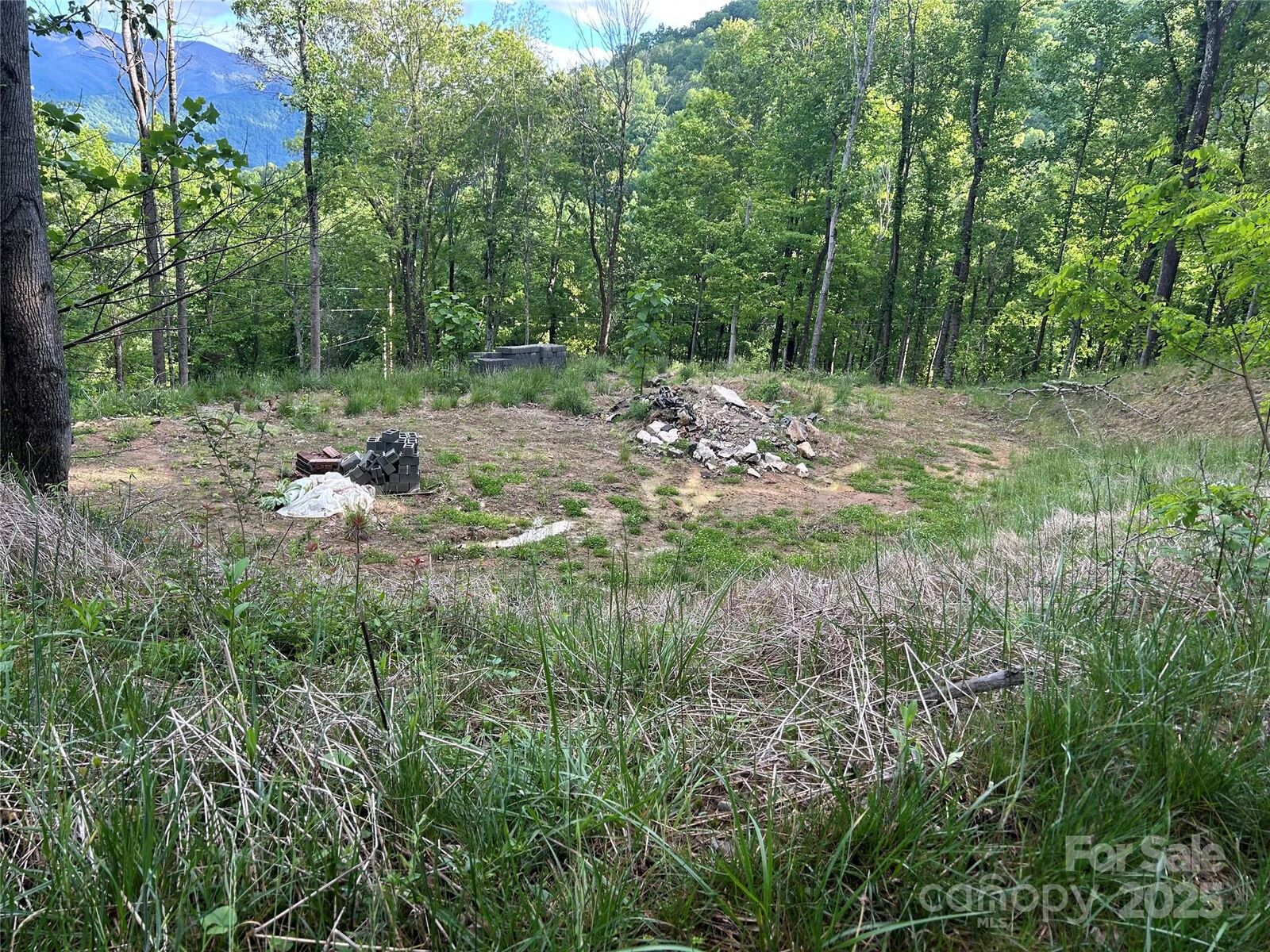 Property Photo:  455 Spring Valley Drive 43 And 44  NC 28786 