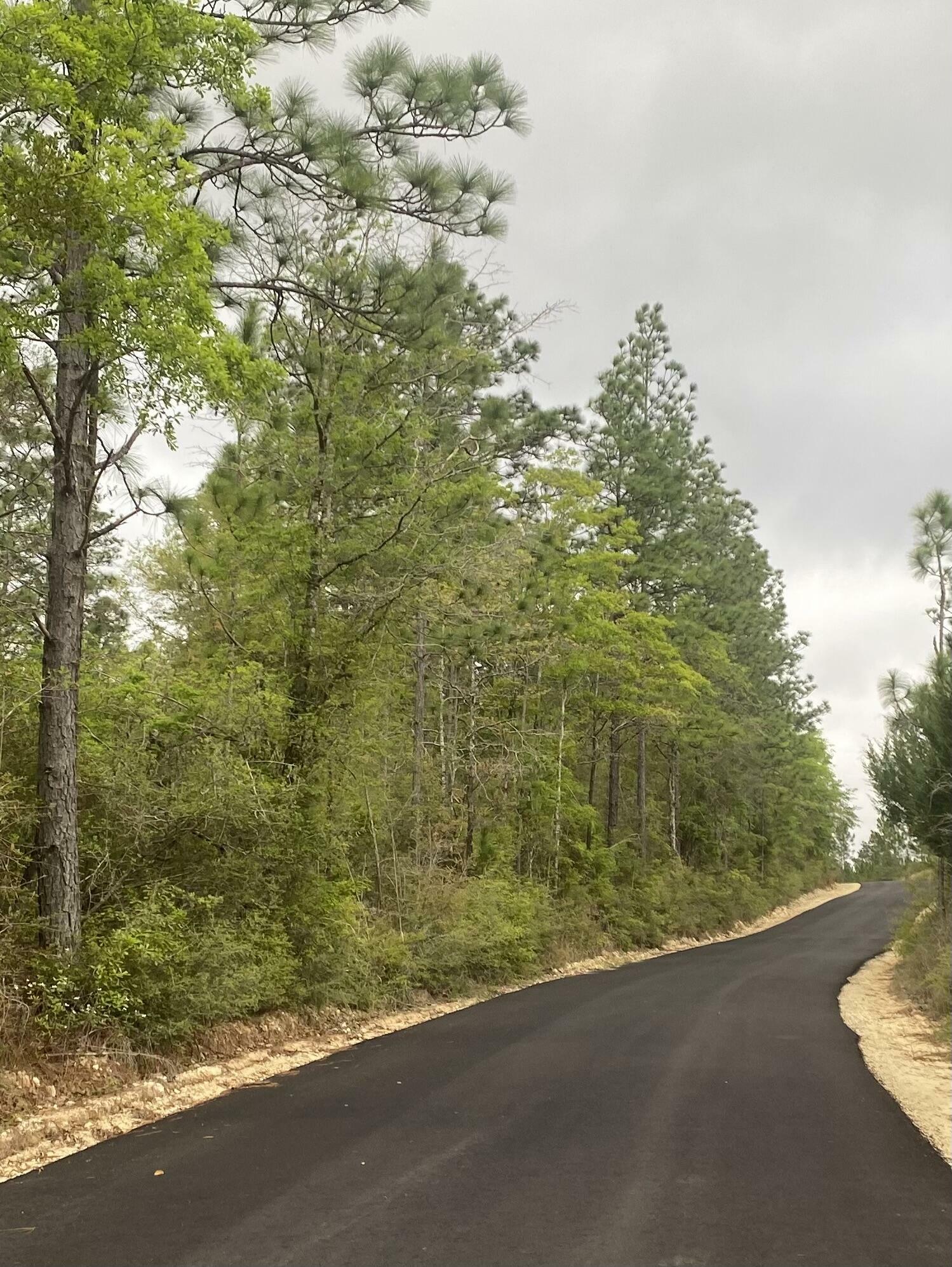 Property Photo: 20 Acres Sherman Kennedy Rd FL 32531