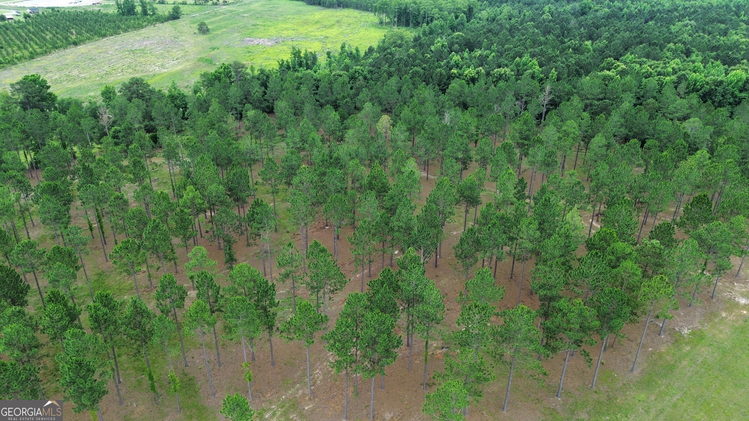 Property Photo: 0 Blackshear Ferry Road W GA 31021