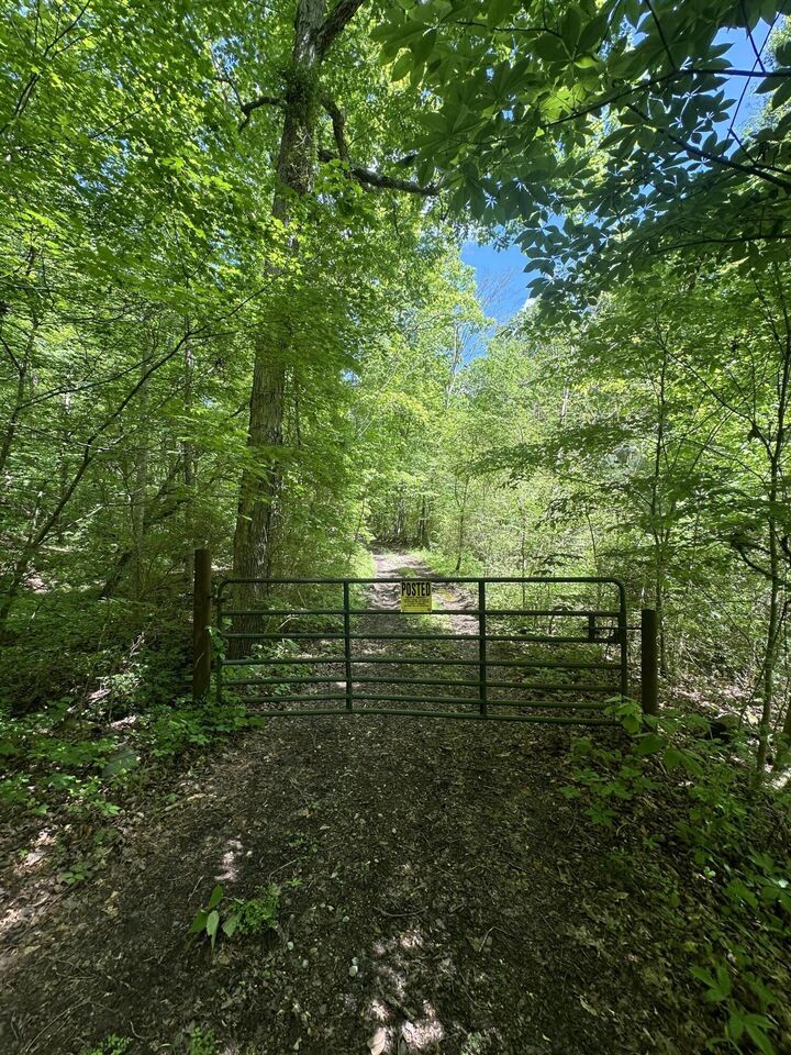 Property Photo:  0 Castleberry Road  GA 30728 
