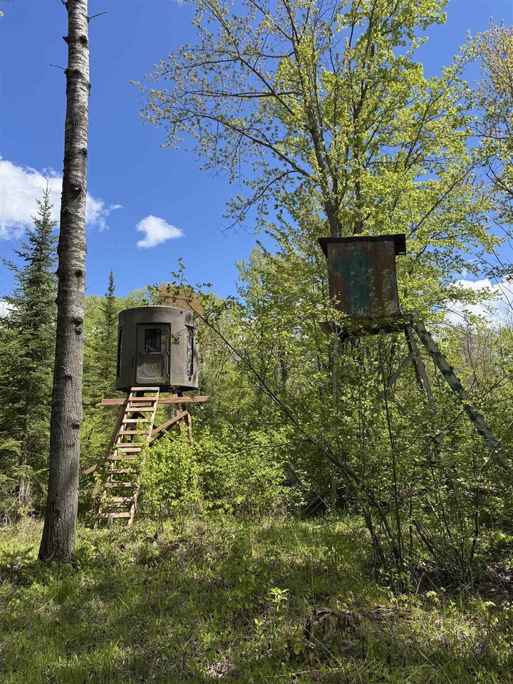 Property Photo: 7544E S Brannan Rd WI 54842
