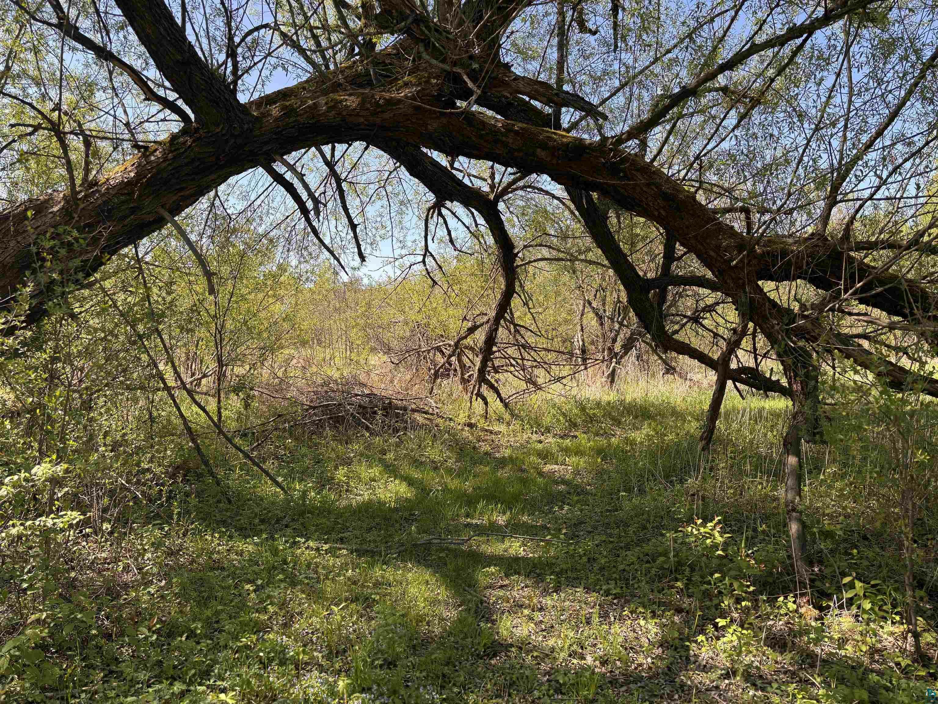 Property Photo: 754xe S Brannan Rd WI 54842
