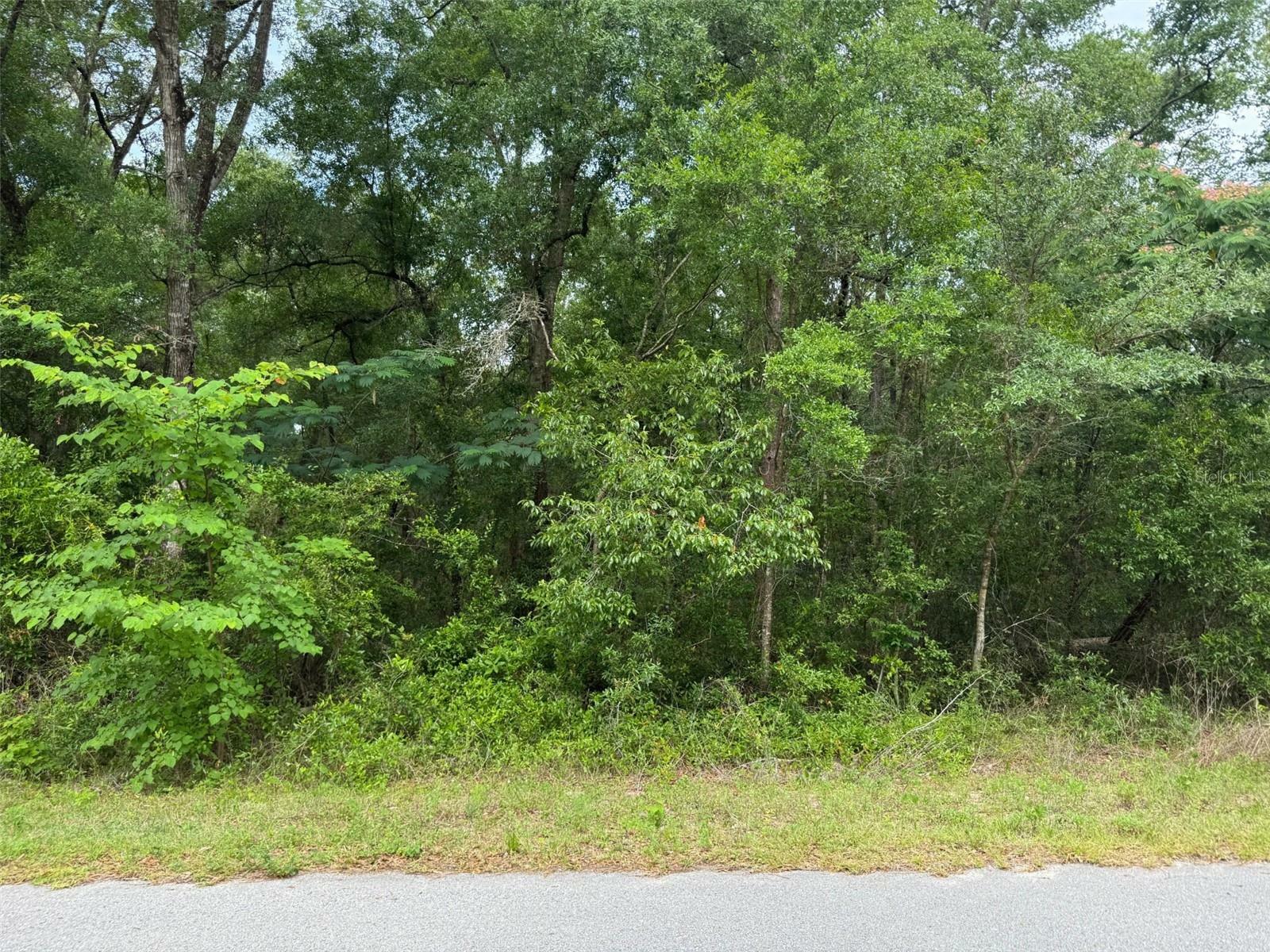 Property Photo: Lot 14 SW Chanel Heights Court FL 34431