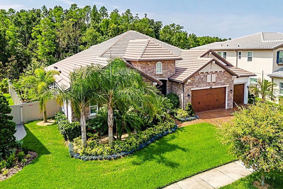 29118 Picana Lane  Wesley Chapel FL 33543 photo