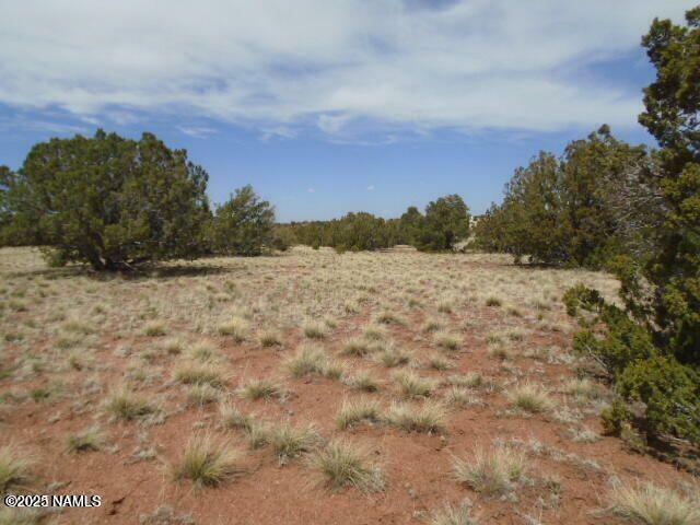 Property Photo:  4089 E Oakdale Road  AZ 86046 