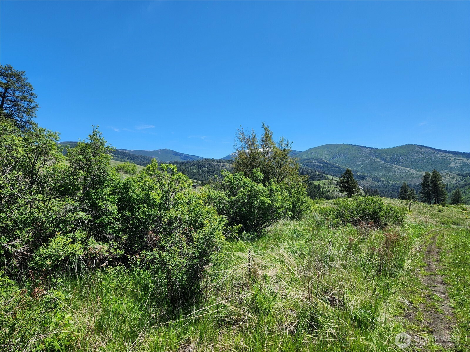 Property Photo: 12 Dignity Ranch Road WA 99150