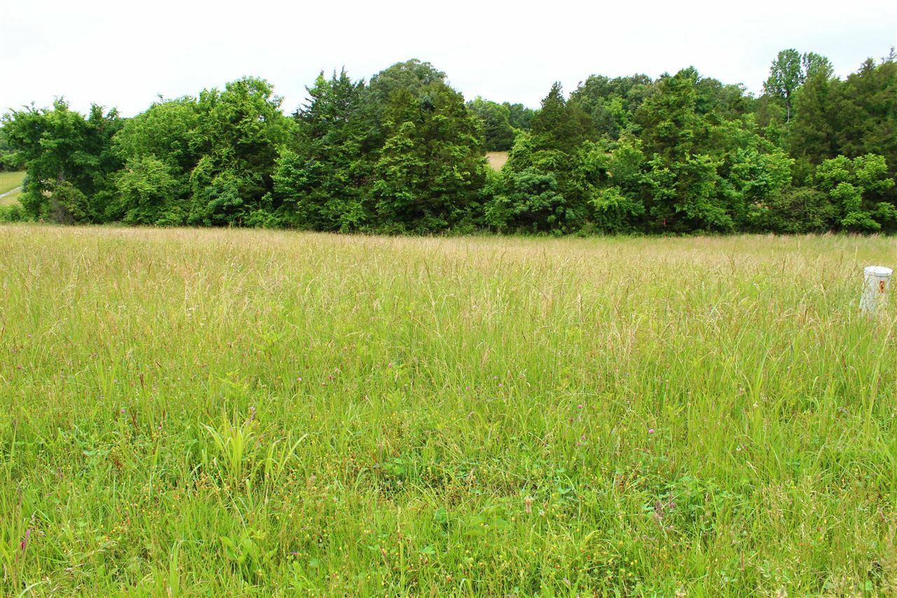 Property Photo: 667 Calvert Road KY 42120