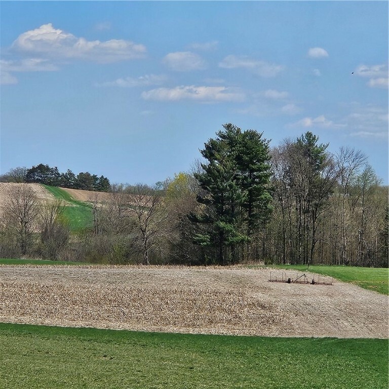 Property Photo: Tbd 870th Avenue WI 54767