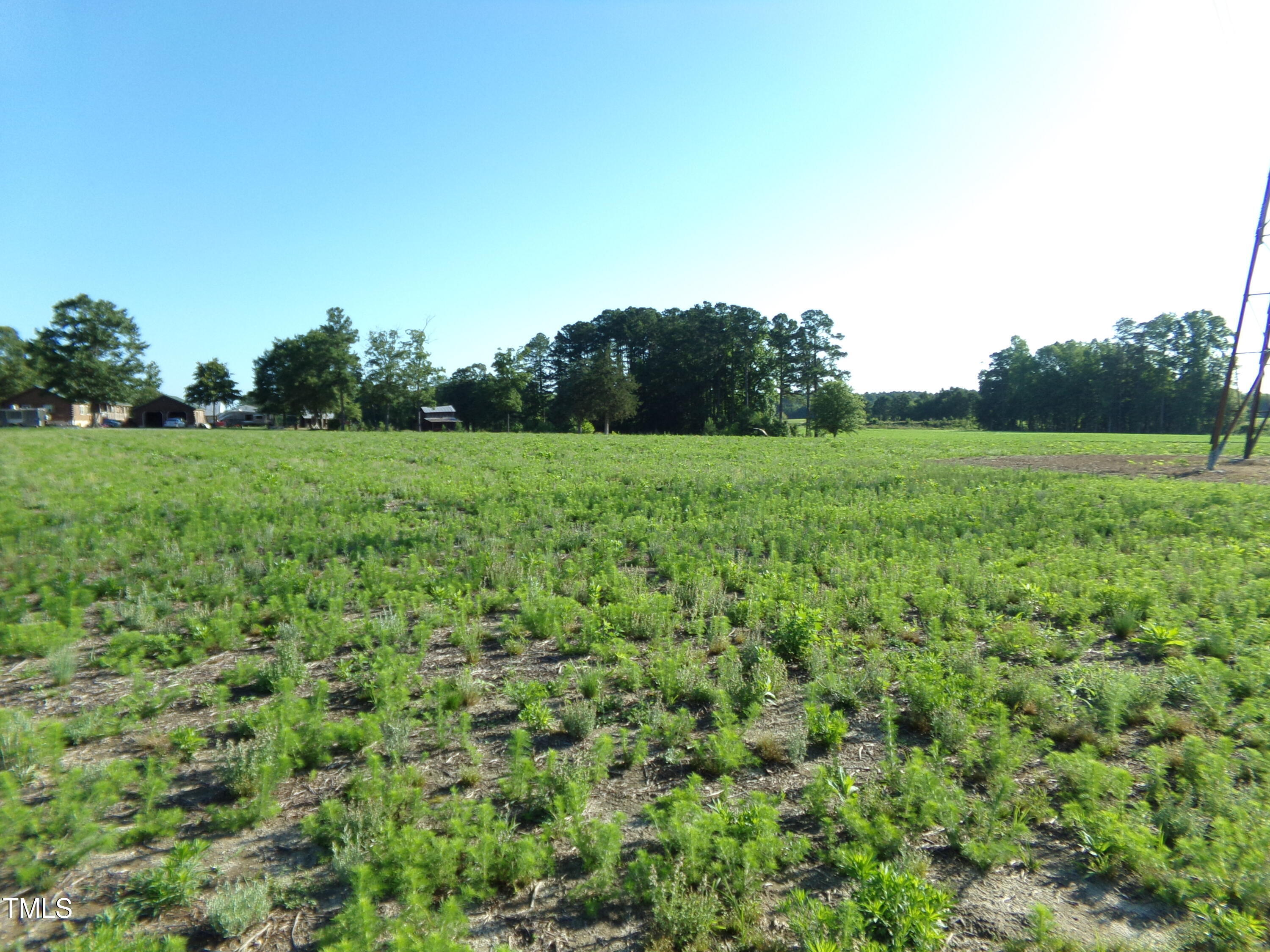 Property Photo: Lot 5 Triskel NC 27597
